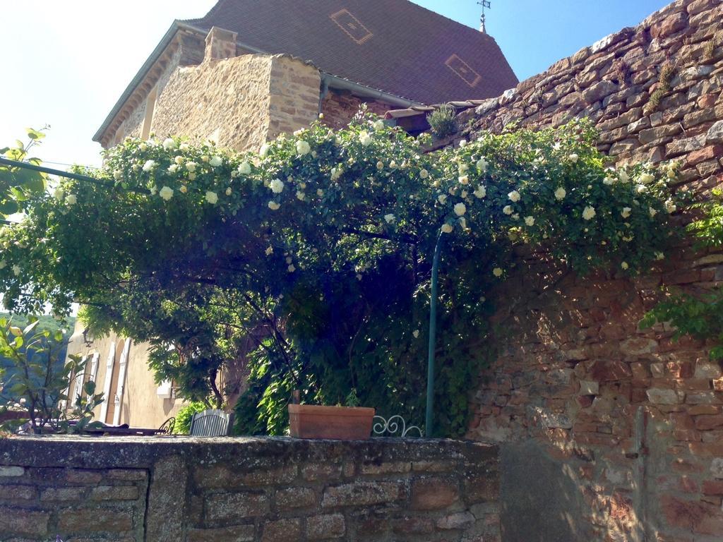 Le Vieux Chateau Bed and Breakfast Leynes Exterior foto